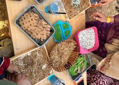 What Makes Brain Lab School Different?