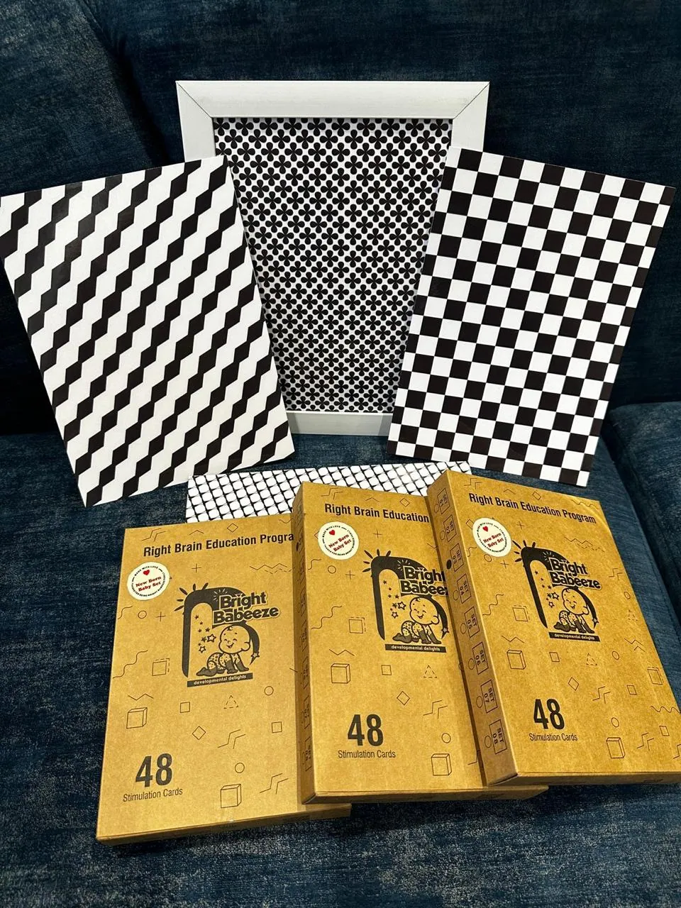 High-contrast black and white cards with Right Brain Education Program card boxes