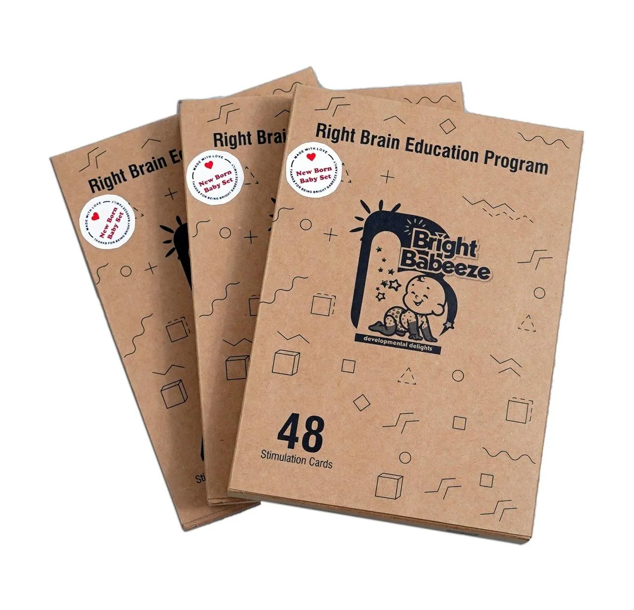 Right Brain Education Program flash card boxes