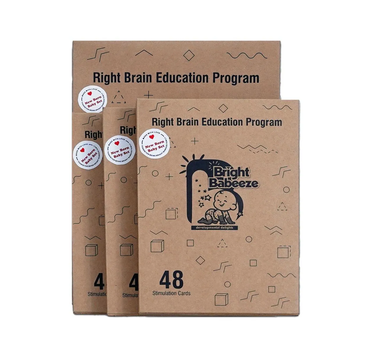 Stack of Right Brain Education Program flash card boxes