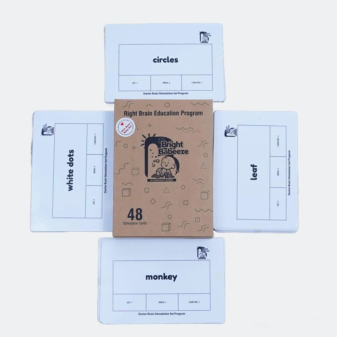 Word and picture cards from the Right Brain Education Program