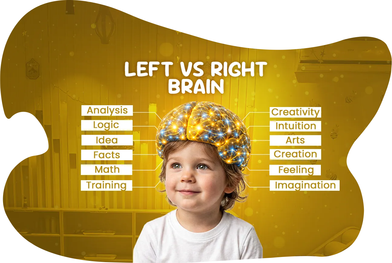 Left brain versus right brain skills in early childhood