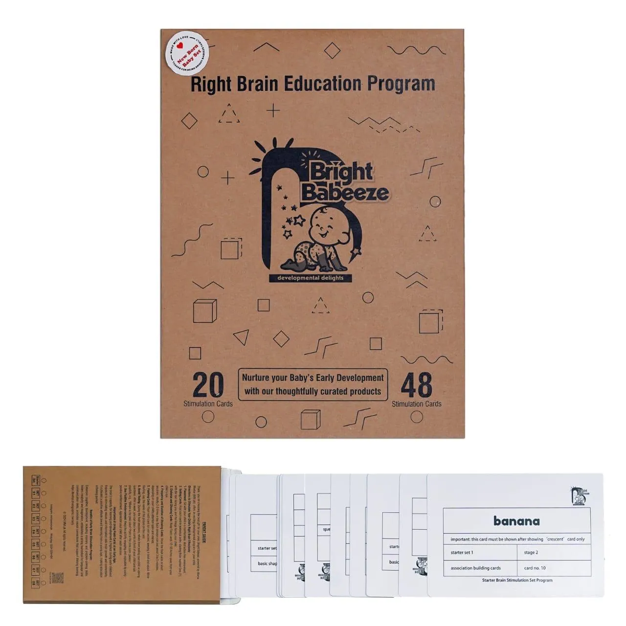 Right Brain Education Program flash card kit with picture cards
