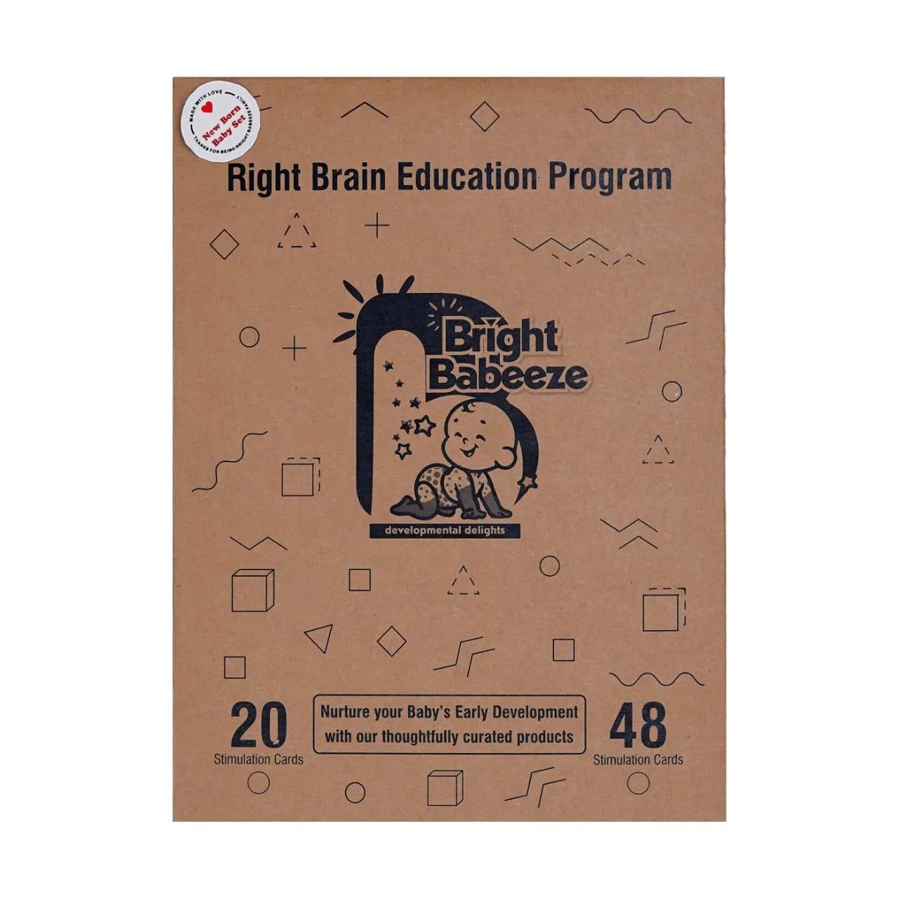 Right Brain Education Program kit box