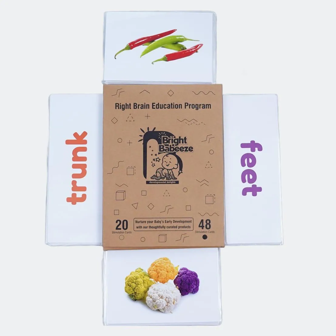 Right Brain Flash Cards
