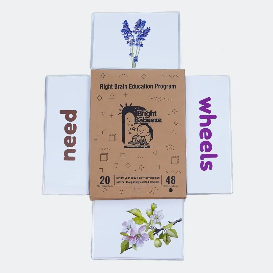 Right Brain Education Program kit with word and picture cards
