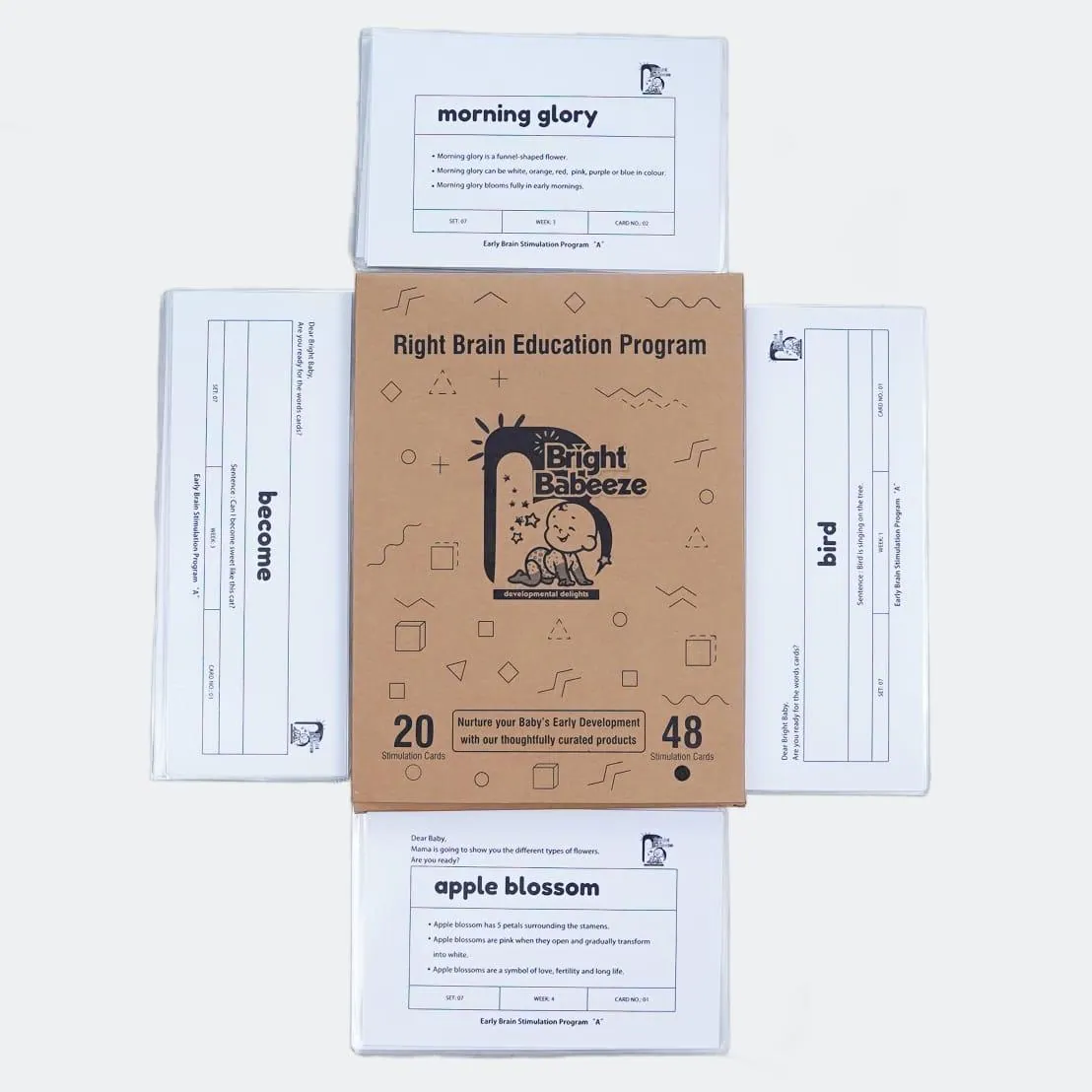 Right Brain Flash Cards
