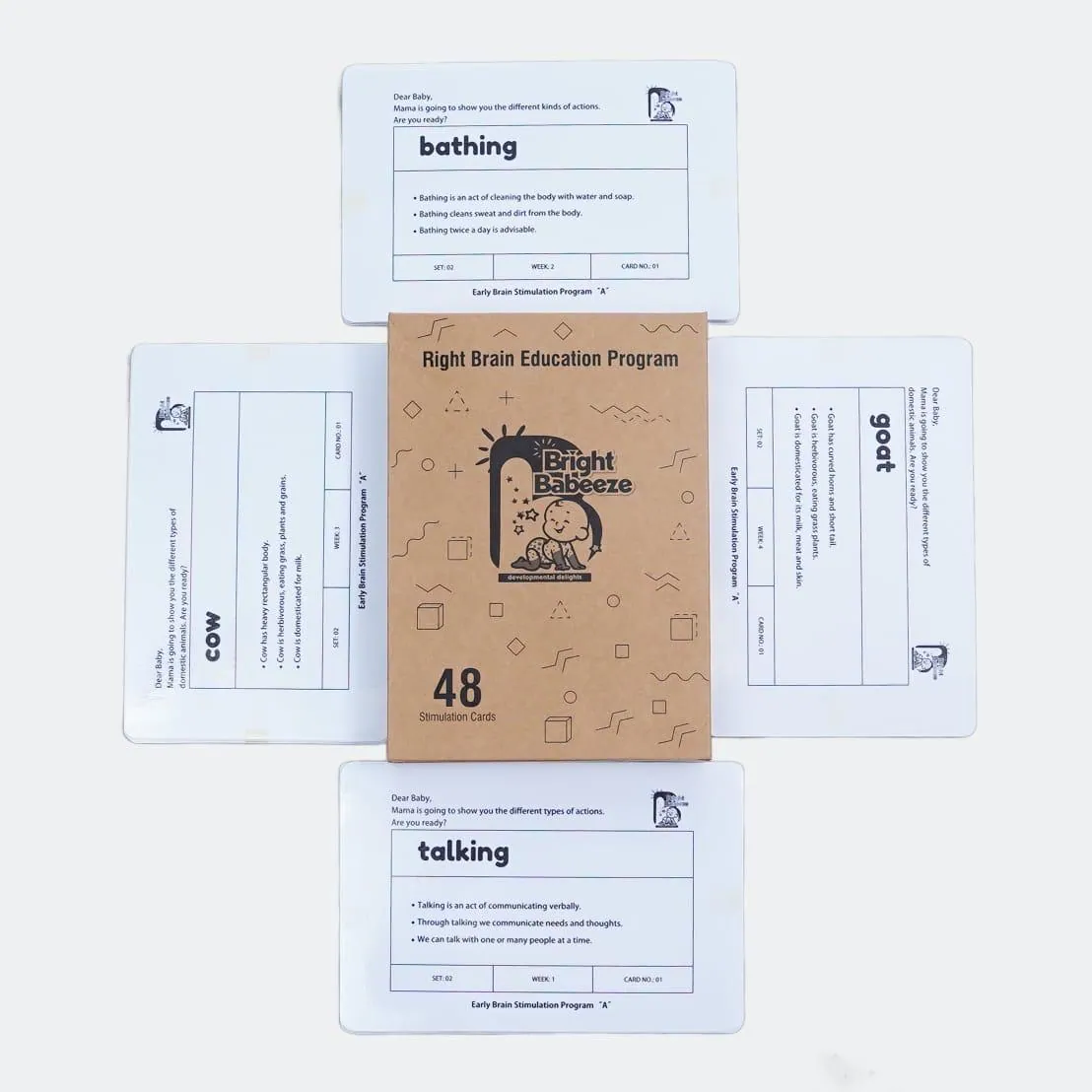 Right Brain Flash Cards