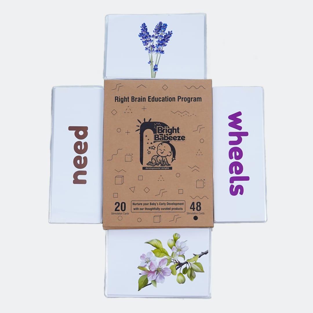 Right Brain Flash Cards