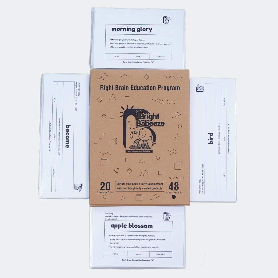 Right Brain Flash Cards