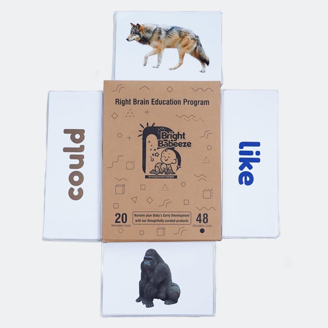 Right Brain Flash Cards