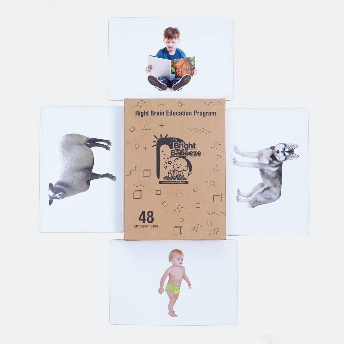 Right Brain Flash Cards