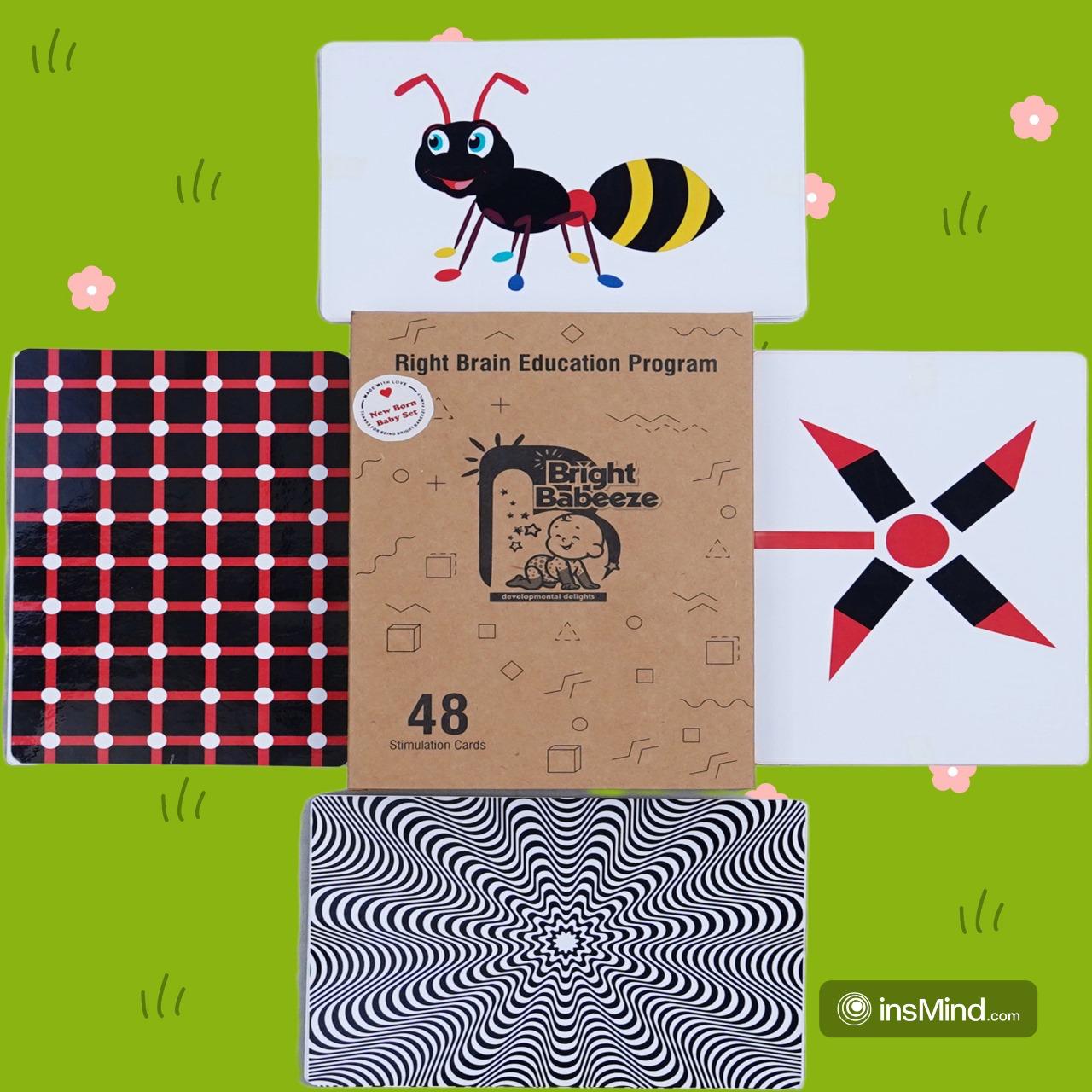 Right Brain Flash Cards