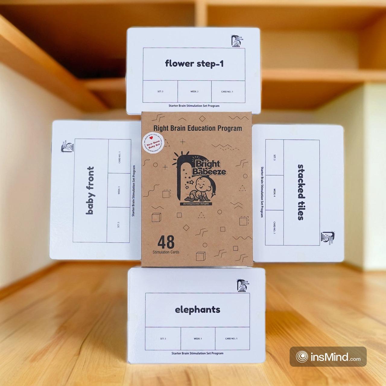 Right Brain Flash Cards