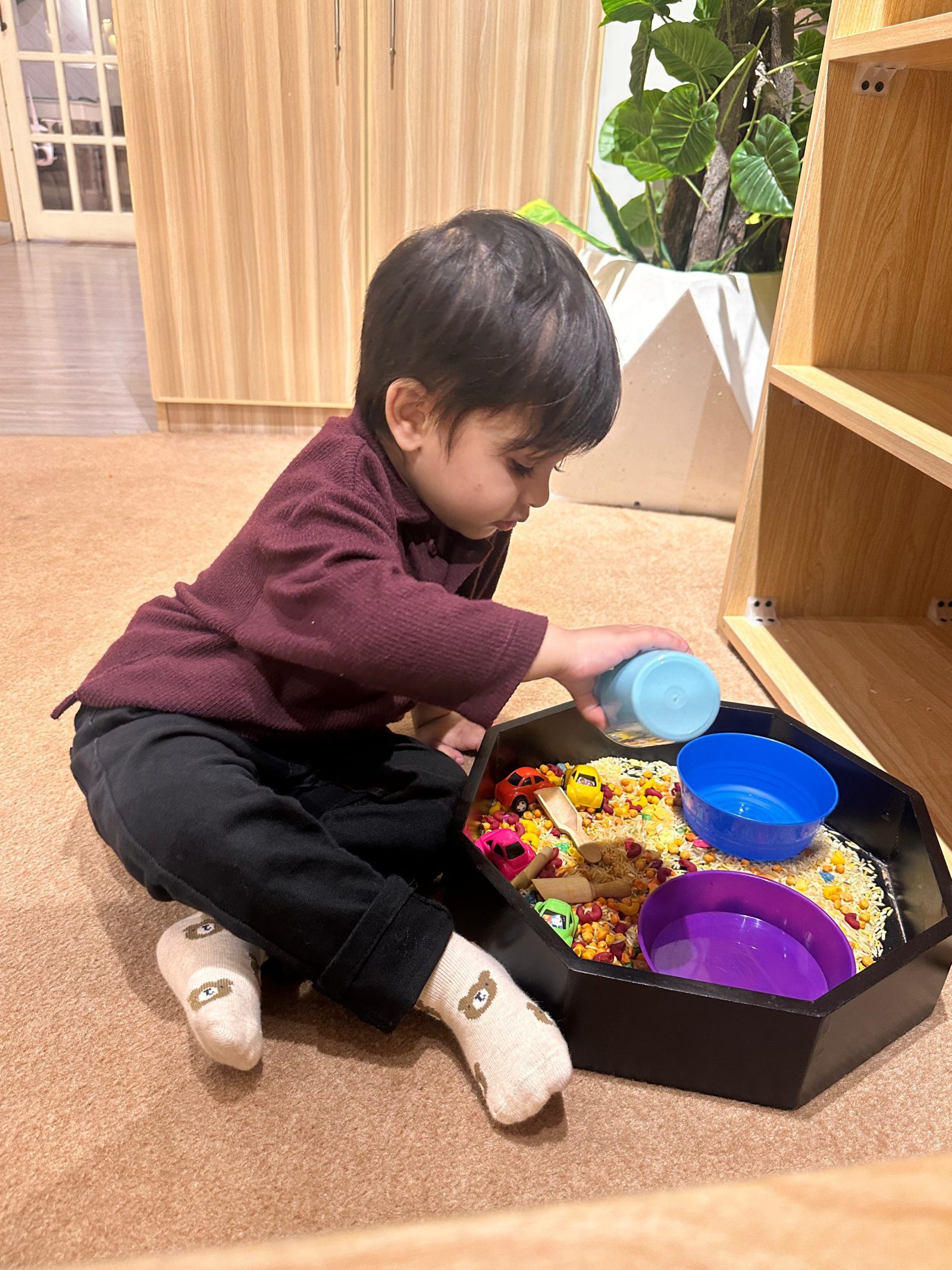 Infancy & Toddler Stage